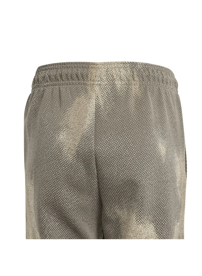 adidas adidas J Fi Aop Pt Brown Training Pants 7-8Y