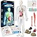 GobiDex Human Body Skeleton Model Kits 40 Piece Anatomy FigureGlow in The Dark Bones Interactive Science Kit STEM Educational Toys for Boys and Girls Halloween Physiology Gifts for Kids Ages 8 - Image 2