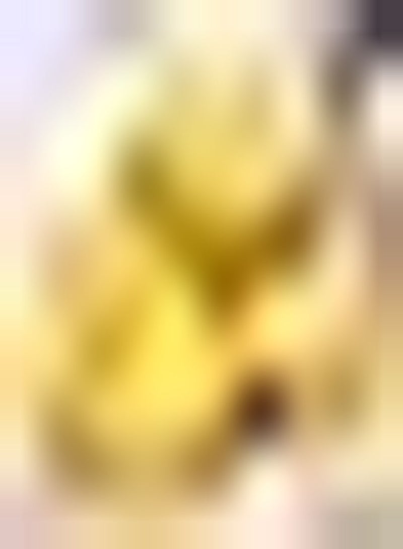 GGOOT 5pcs graines de pêche Jaune adaptées à la Plantation en Plein Soleil entretien facile profiter de la récolte croissance Rapide opération facile faible entretien - Image 2