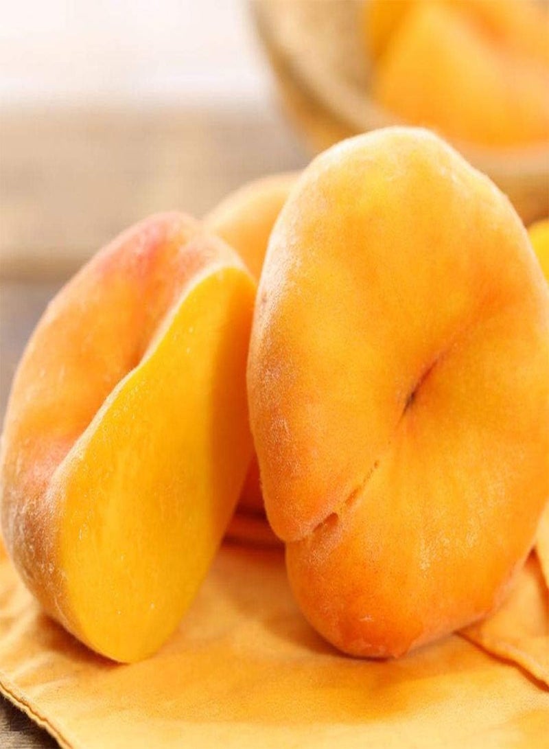 GGOOT 5pcs graines de pêche Jaune adaptées à la Plantation en Plein Soleil entretien facile profiter de la récolte croissance Rapide opération facile faible entretien - Image 1