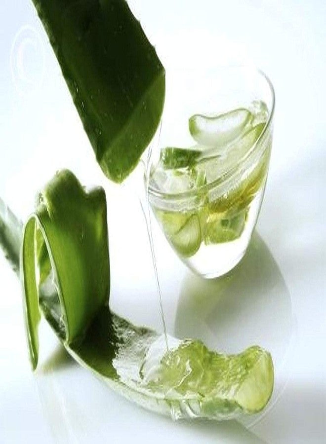 STRAIGHT Cool Gel Eye Mask Aloe Vera Summer Ice Cooling Sleeping Mask for Eye Patches Remove Dark Circles Fatigue Cool Eyes Patch Pads Eye Care - Image 4