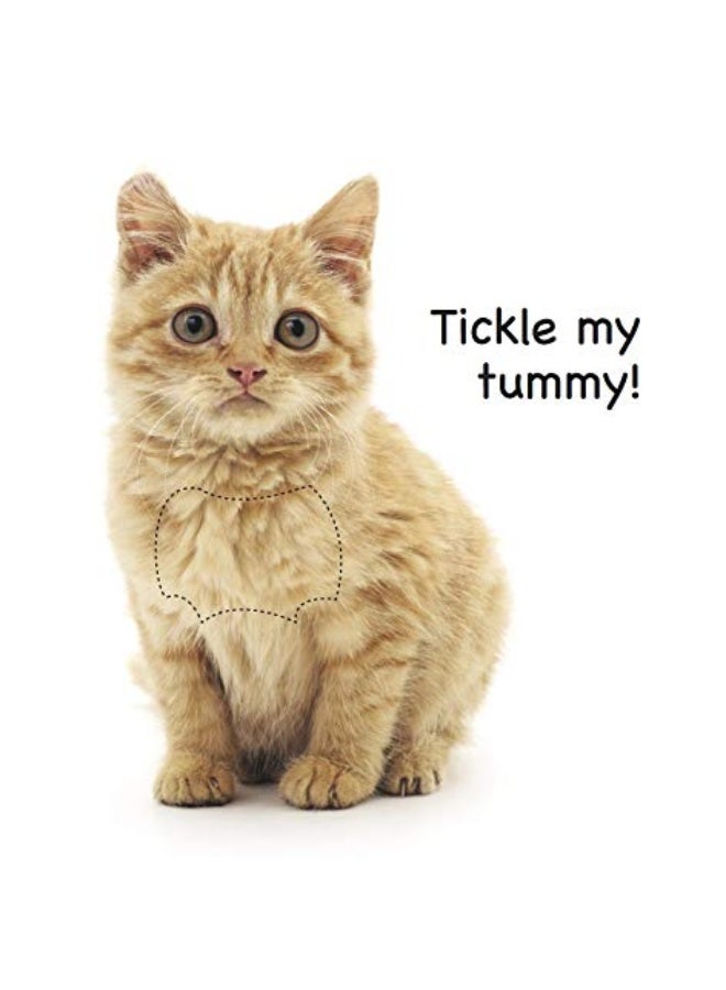Touch and Feel Pets  - Image 4