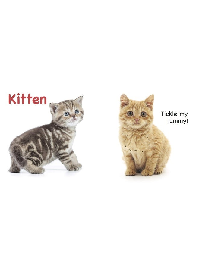 Touch and Feel Pets  - Image 5