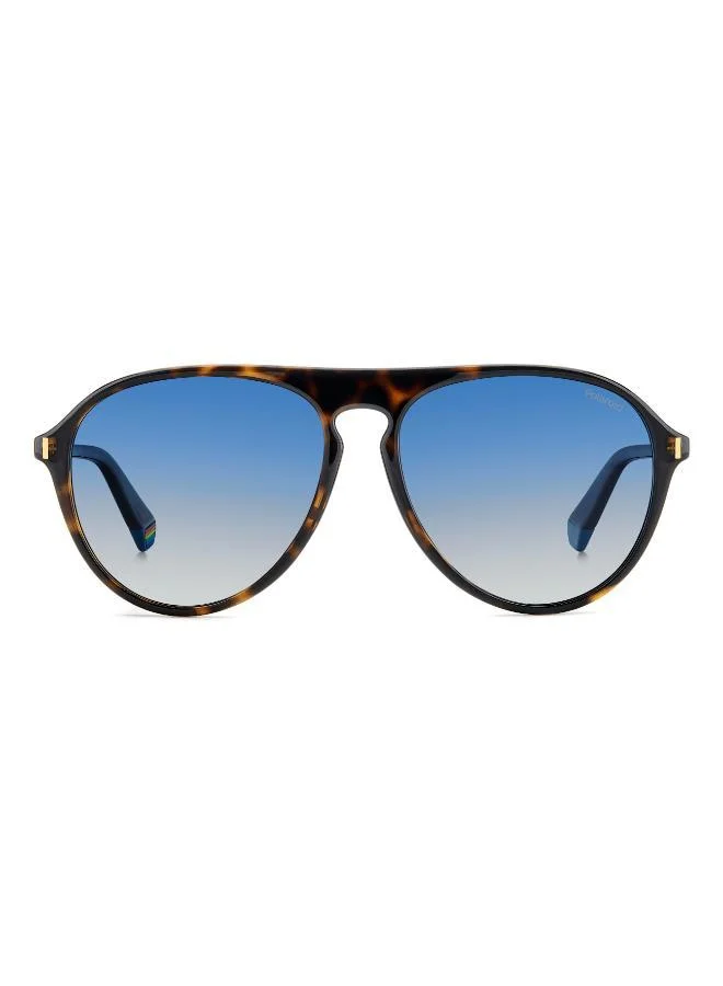 Polaroid Oval Sunglasses