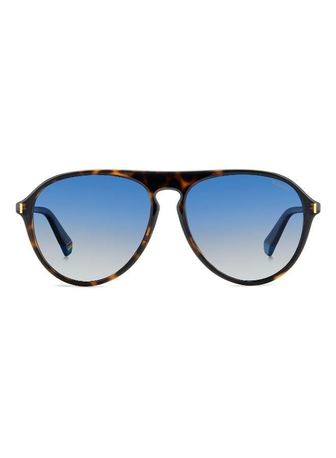 نظارات شمسية بيضاوية