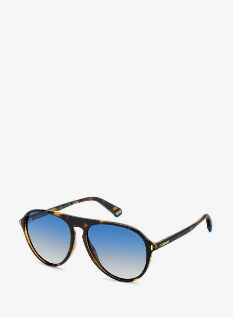 Polaroid  Oval Sunglasses for Men | Best Price UAE