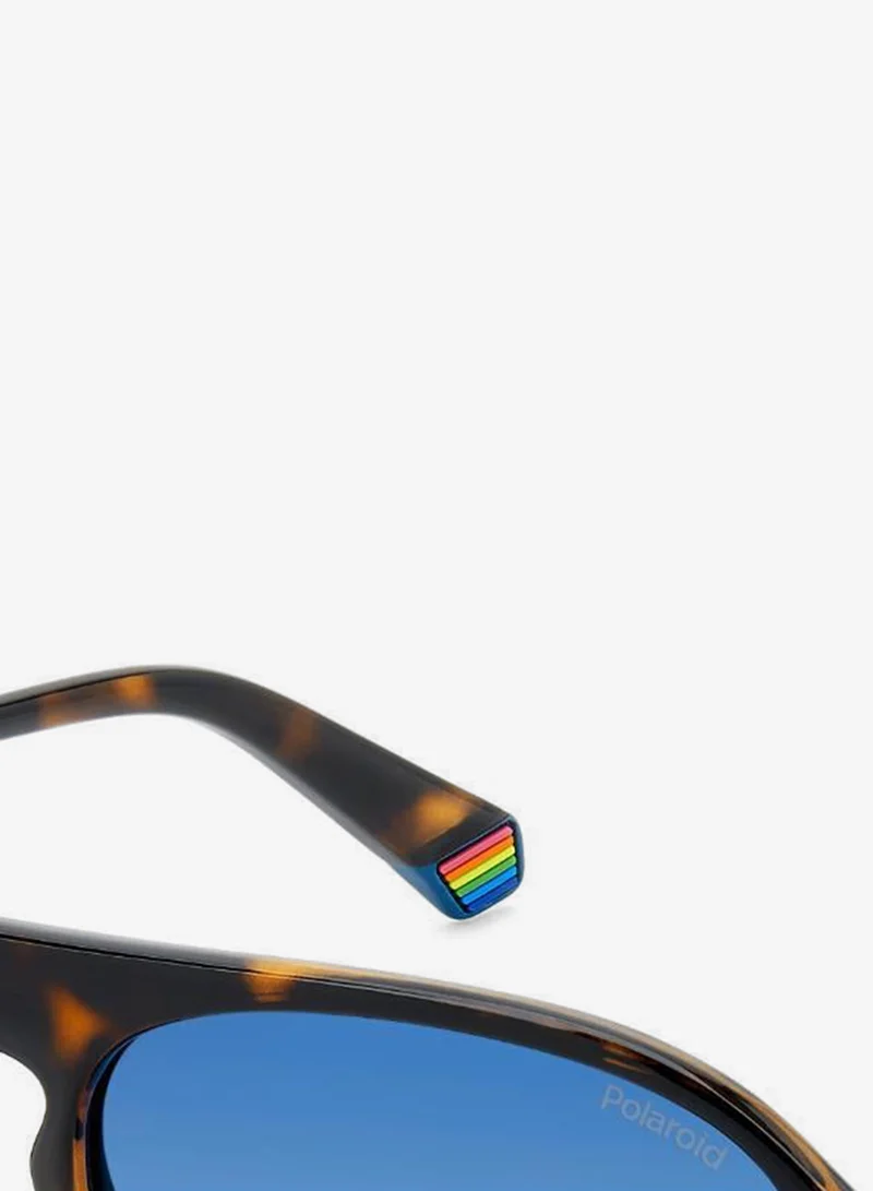 Polaroid  Oval Sunglasses for Men | Best Price UAE