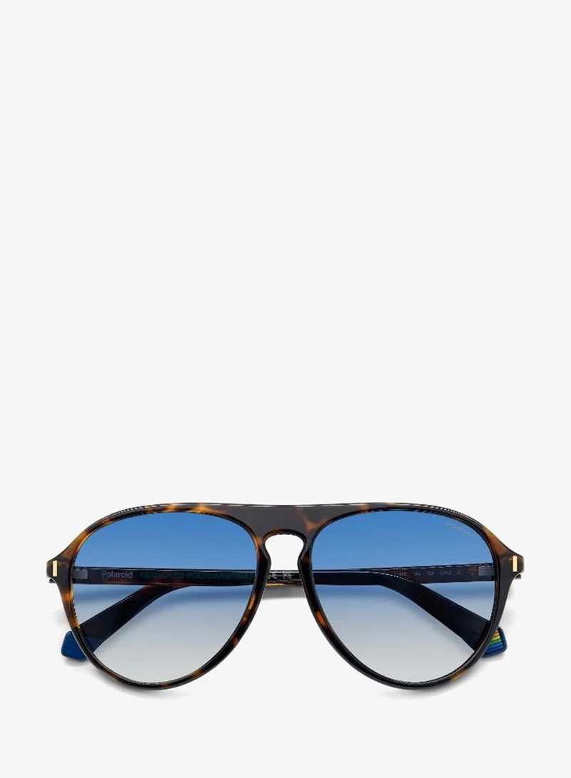 Polaroid  Oval Sunglasses for Men | Best Price UAE