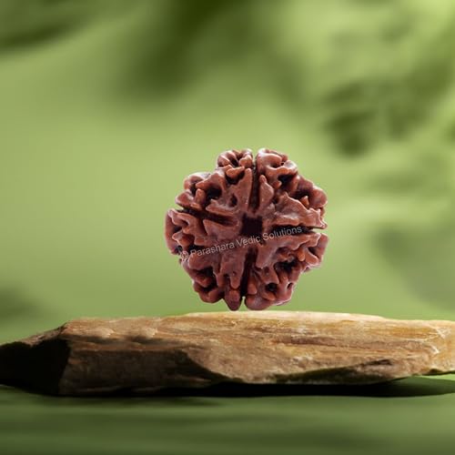 ARKAM Four Mukhi Rudraksha Certified/Original Nepali 4 Mukhi Rudraksh/Natural 4 Faced Rudraksha (Brown) with Certificate and Puja Instructions - Image 3