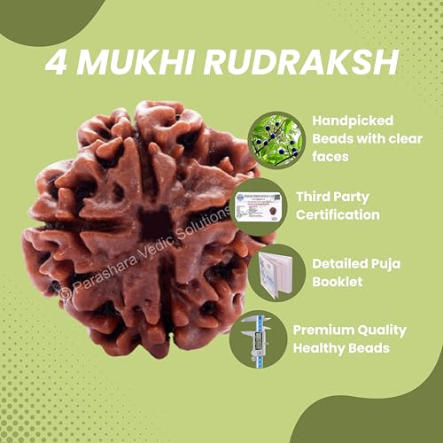 ARKAM Four Mukhi Rudraksha Certified/Original Nepali 4 Mukhi Rudraksh/Natural 4 Faced Rudraksha (Brown) with Certificate and Puja Instructions - Image 4