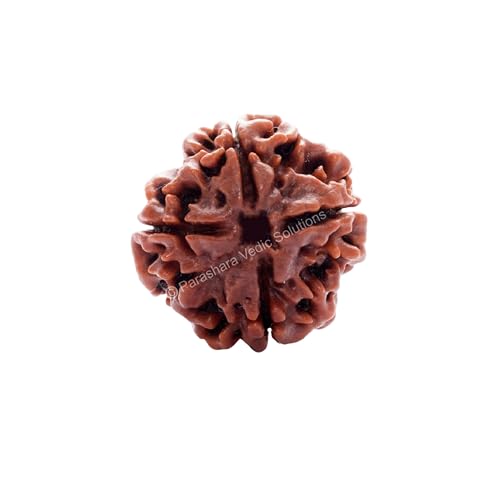 ARKAM Four Mukhi Rudraksha Certified/Original Nepali 4 Mukhi Rudraksh/Natural 4 Faced Rudraksha (Brown) with Certificate and Puja Instructions - Image 1