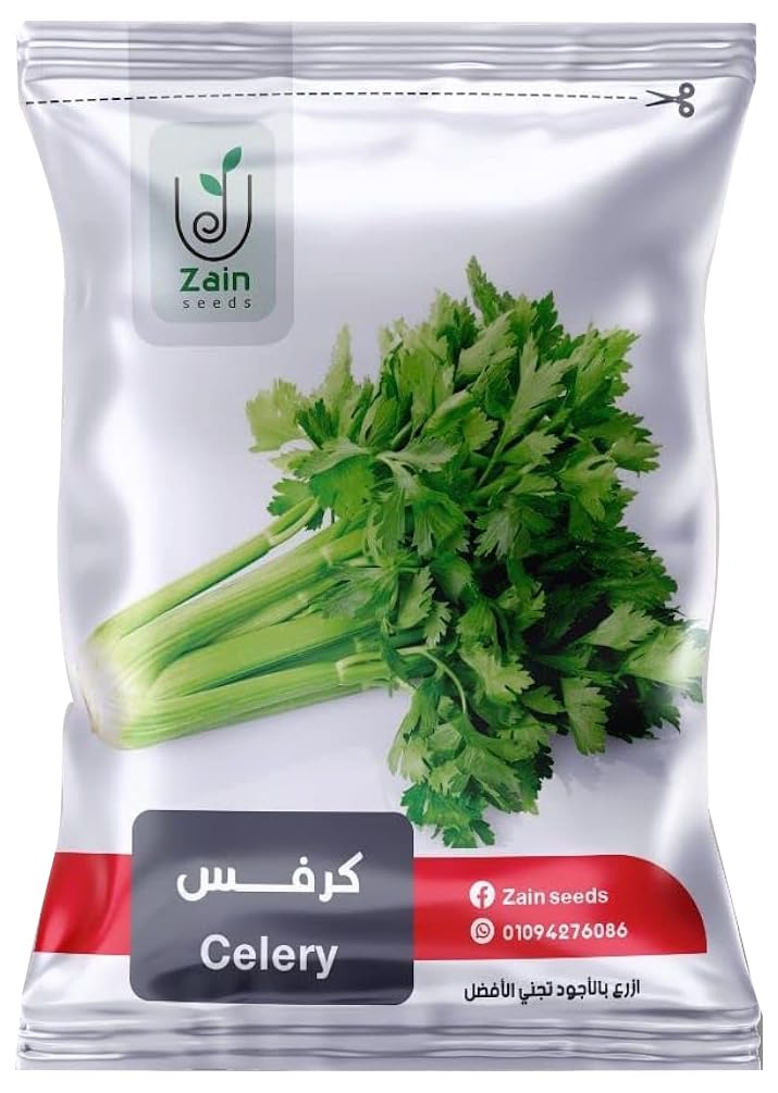 بذور كرفس من زين