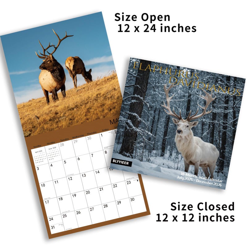 BLYYIEER 2026 Wall Calendar,Calendar 2025-2026,Elaphurus davidianus Monthly Wall Calendar, 12" x 24" Open,Family Planner Calendar, Home & Office Organizer,Hangable - Image 4