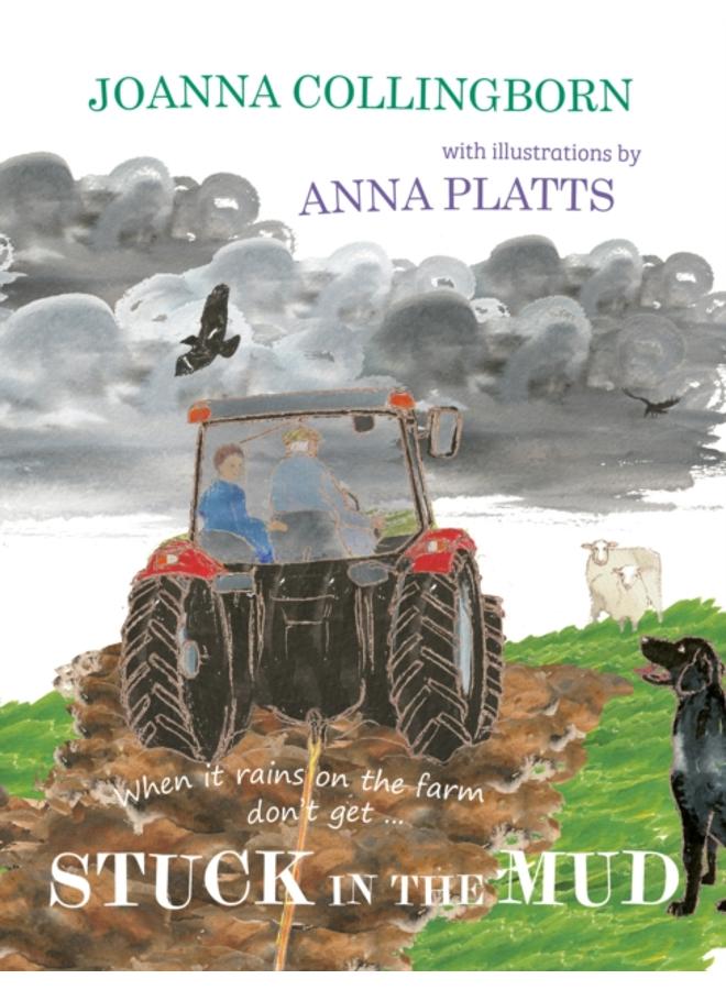 Stuck in the Mud : the brilliant award-winning adventure at Hillside Farm 