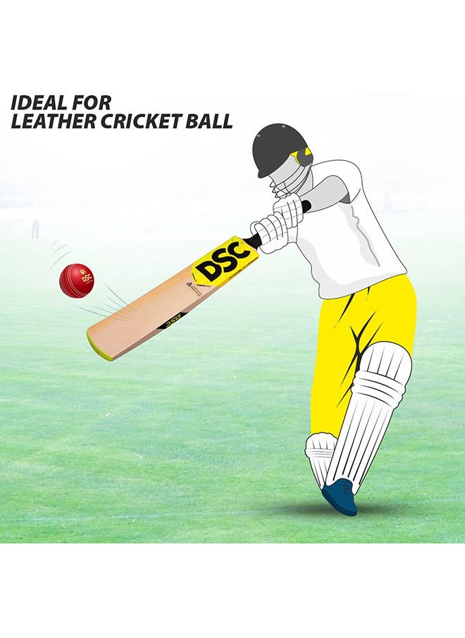 DSC - Condor Scud Kasmir Willow Cricket Bat | Size- Harrow | Light Weight | Free Cover | Material: Kashmir Willow | Light Weighted | Ready to Play | for Professional Player - Image 1