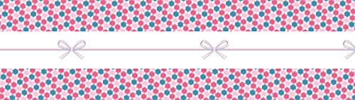 MT mt Washi Wrapping Paper, noshi kikko, 155 mm x 5 mtrs (Pack of 1) - Image 4