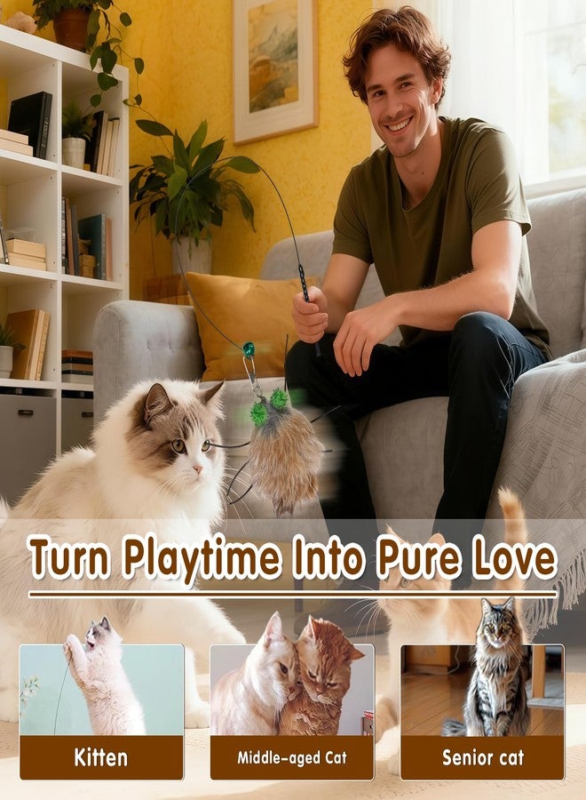 Walfront Cat Interactive Toy with Feather Attachment - Helps Soothe Anxious Cats, Reduces Excessive Anxiety, Alleviates Feelings of Loneliness and Improves Mood - Image 5