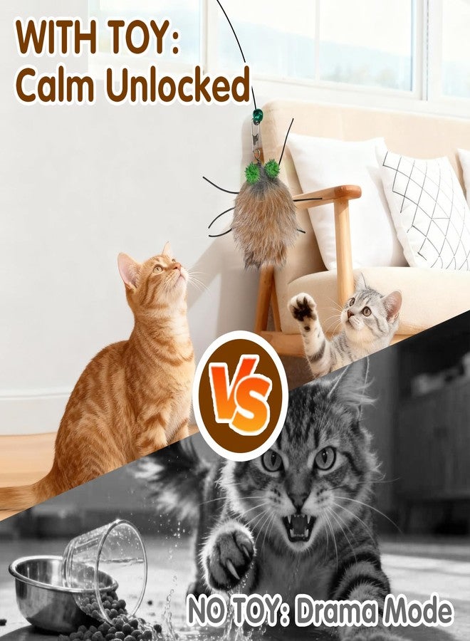 Walfront Cat Interactive Toy with Feather Attachment - Helps Soothe Anxious Cats, Reduces Excessive Anxiety, Alleviates Feelings of Loneliness and Improves Mood - Image 3