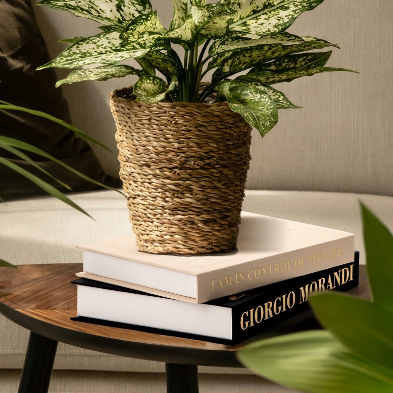 Jardin Tesoro كتب زخرفية لتزيين المنزل - مجموعة من 2 كتاب مزيف للتزيين، صندوق تخزين كتاب مزيف يعزز ديكور طاولة القهوة، رف الكتب ورف المدفأة، مجموعة ديكور الكتب من الكتان، ديكور الكتب - Image 4