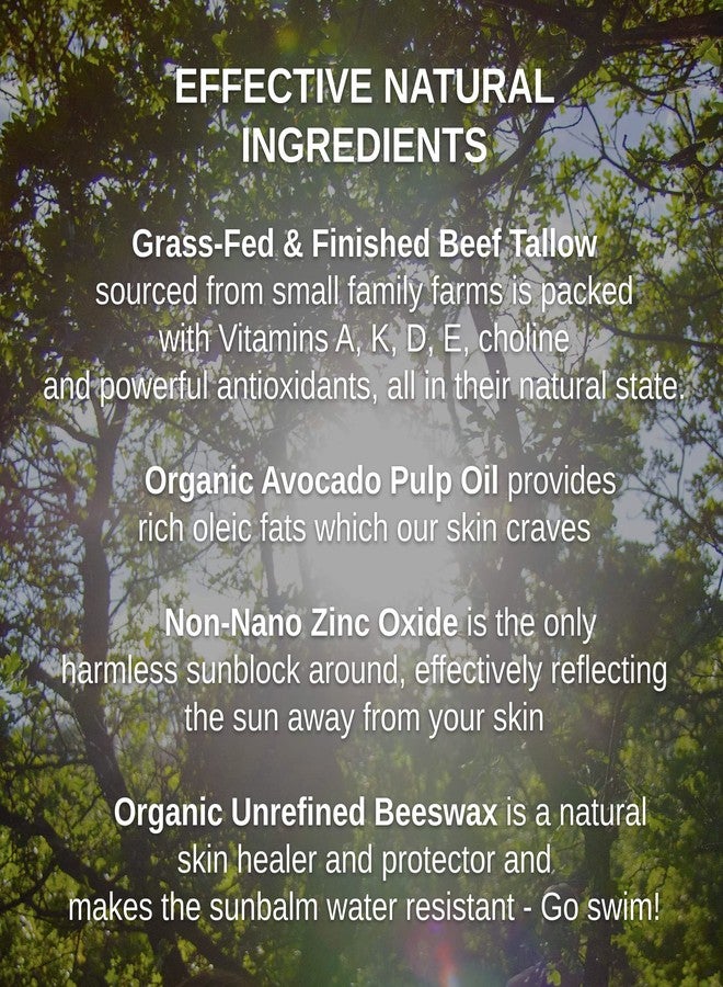 Shwally Zinc & Avocado Mineral SunBalm 30SPF, The Only Real Primal Sun Lotion - 100% Grass Fed Tallow, Avocado Oil & Non-Nano Zinc Oxide - Pregnancy Safe (Coconut + Vanilla, 4 Fl Oz & Not Tinted) - Image 3