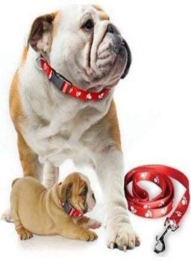 Pups&Pets طقم طوق ومقود بتصميم طبعة مخلب من النايلون قابل للتعديل 15 مم مع جرس للكلاب والقطط - (برتقالي) - Image 4