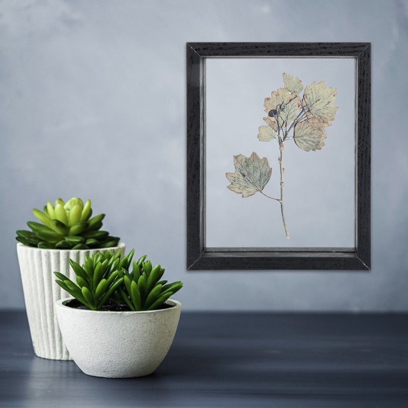 2pcs Specimen DIY Display Box Double-Side Butterflies Case Plants Pressing Frame - Image 5