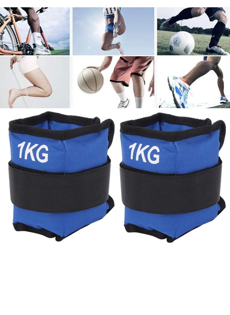 Festive Gallery Adjustable Ankle Weights for Women and Men, Ankle Wrist Weight Durable Practical Hands or Feet Wear Resistant, Walking Jogging Gymnastics Aerobics Enthusiasts Muscle Training (1.5 kg x 2Nos)  - Image 1