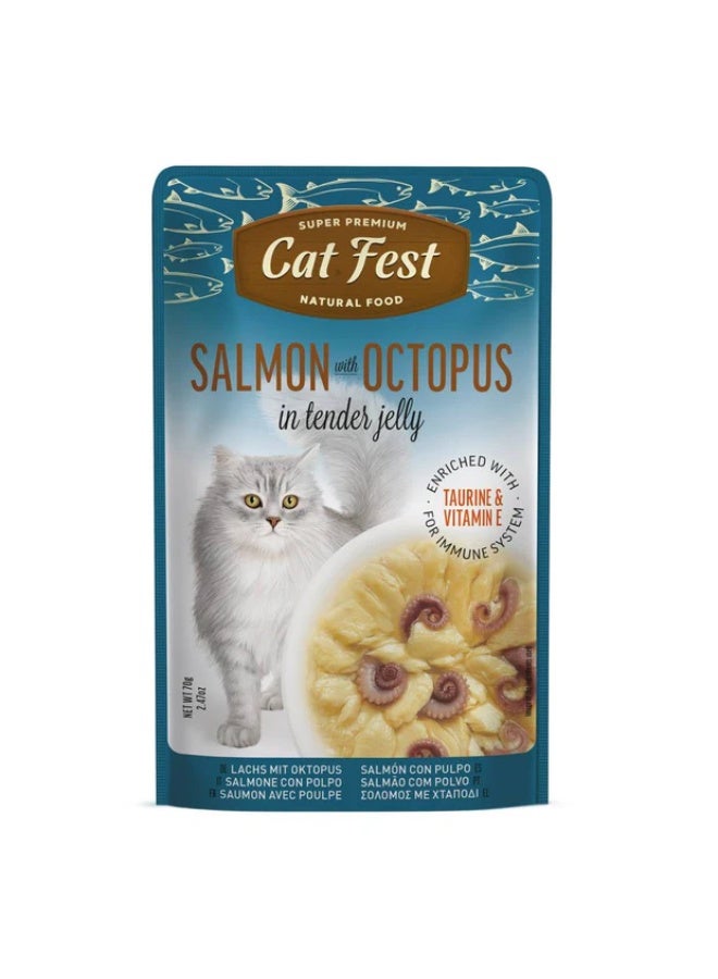 Cat Fest  - Tender Jelly For Cats 70g / Salmon with Octopus