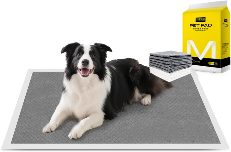 Mumoobear Mumoo Bear 20 Pack Large Dog & Puppy Training Pads-Super Absorbent Puppy Pads-Anti Slip Dog Pads Training, Leak Proof & Quick Dry Dog Pads+Plastic Border-Heavy Duty Dog Pee Mat (90 x 60cm) - Image 1