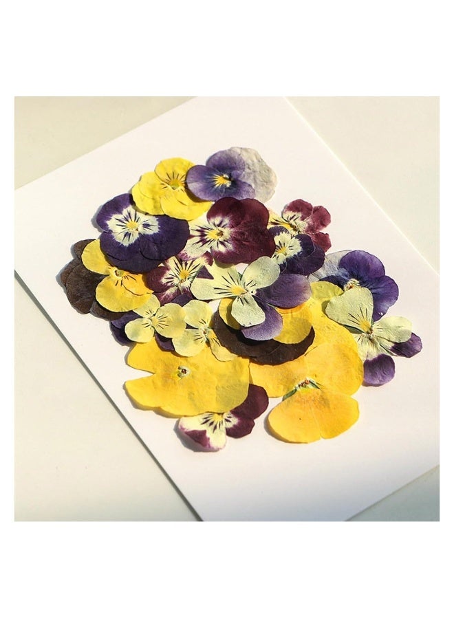 54 Pcs Dried Pressed Flowers for Resin DIY Art Crafts Natural Dry Floral Epoxy Jewelry Real Flower Decor Cakes Phone Cases Candles Handmade Soap Purple Pansy - Image 3