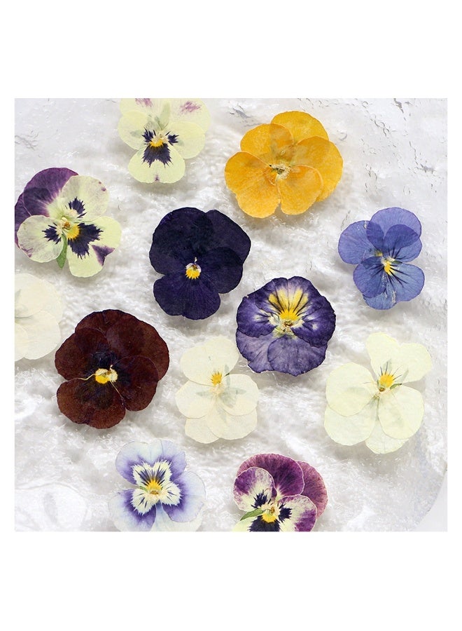 54 Pcs Dried Pressed Flowers for Resin DIY Art Crafts Natural Dry Floral Epoxy Jewelry Real Flower Decor Cakes Phone Cases Candles Handmade Soap Purple Pansy - Image 4