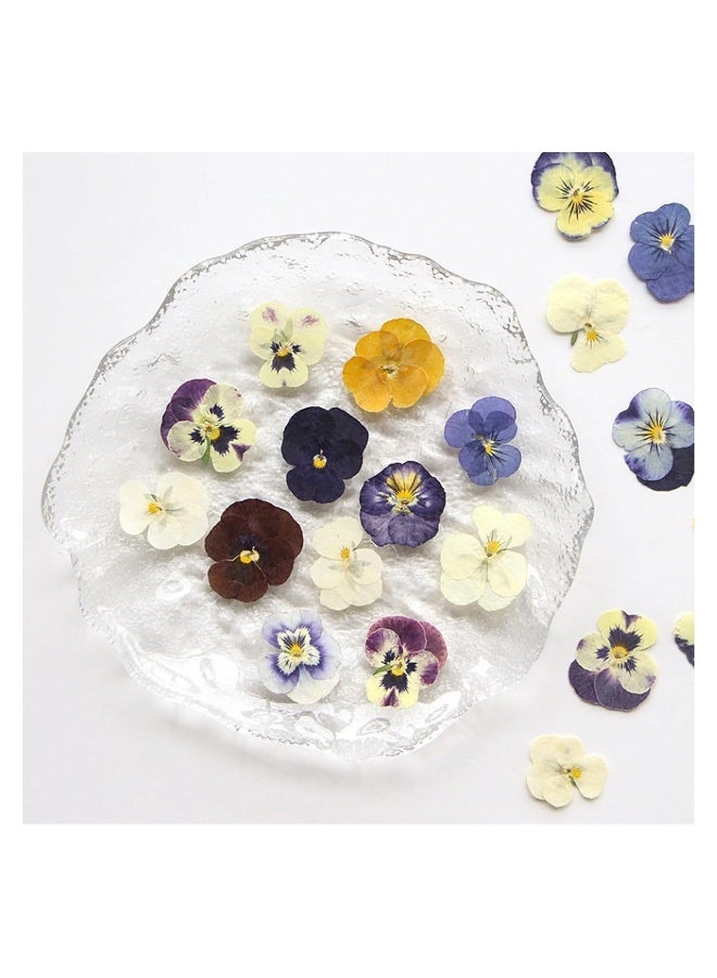 54 Pcs Dried Pressed Flowers for Resin DIY Art Crafts Natural Dry Floral Epoxy Jewelry Real Flower Decor Cakes Phone Cases Candles Handmade Soap Purple Pansy - Image 5