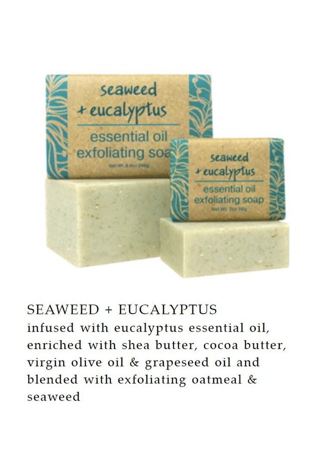 Greenwich Bay Trading Co Seaweed And Eucalyptus Essential Oil Exfoliating Bath Bar Soap Set Of 2 8.6 Ounces Each - pzsku/Z187723BDEE4DBCFA9480Z/45/_/1721904873/80ad4b91-a469-456c-bfb4-6fc1575f7b86