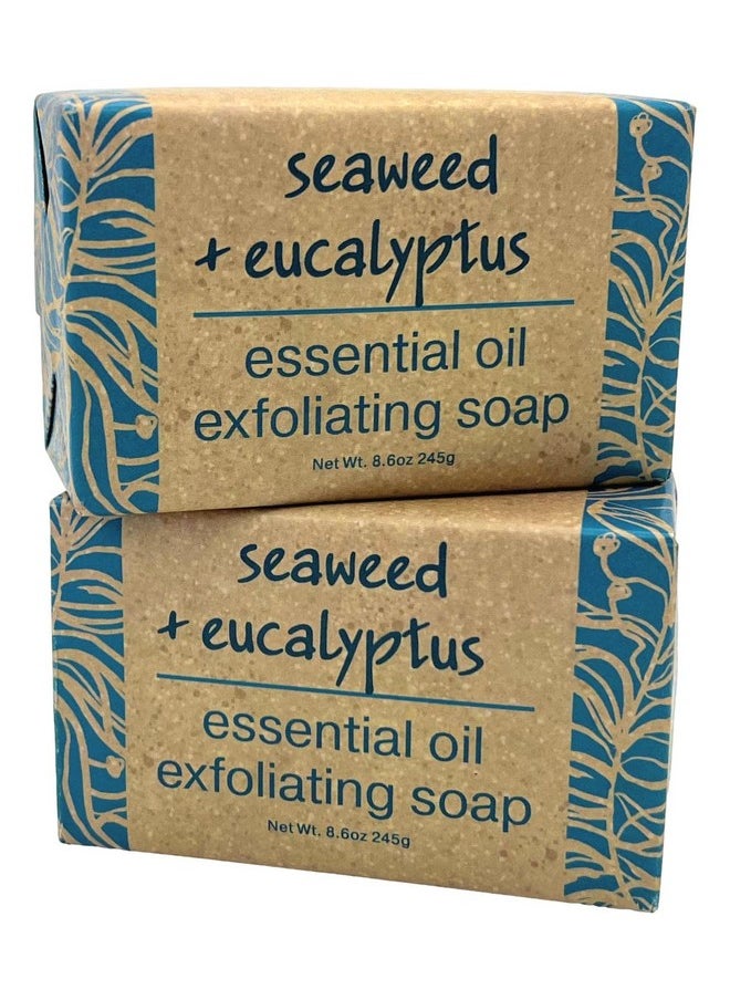 Greenwich Bay Trading Co Seaweed And Eucalyptus Essential Oil Exfoliating Bath Bar Soap Set Of 2 8.6 Ounces Each - pzsku/Z187723BDEE4DBCFA9480Z/45/_/1721904888/acdae4df-ae77-4ce3-81a4-d5053107cda7