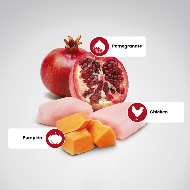 Farmina طعام الكلاب الصغيرة فارمينا N&D بالقرع | دجاج، قرع ورمان | غني بمضادات الأكسدة | طعام كامل للجرو | 2.5 كجم | بدون مواد حافظة صناعية - Image 4