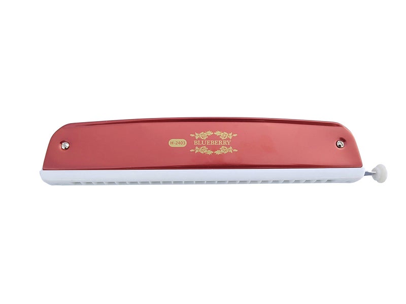 Blueberry H-2403 24 Holes 48 Tones Key C Mouth Organ Scale Changer With Case Red) - Image 3