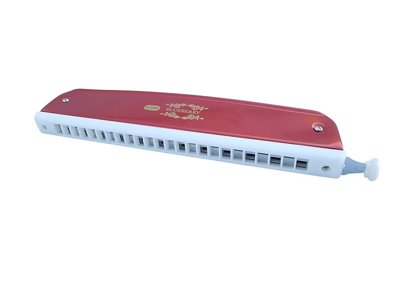 Blueberry H-2403 24 Holes 48 Tones Key C Mouth Organ Scale Changer With Case Red) - Image 4