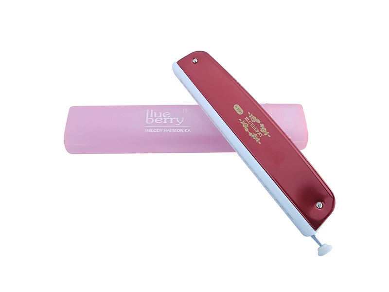 Blueberry H-2403 24 Holes 48 Tones Key C Mouth Organ Scale Changer With Case Red) - Image 5
