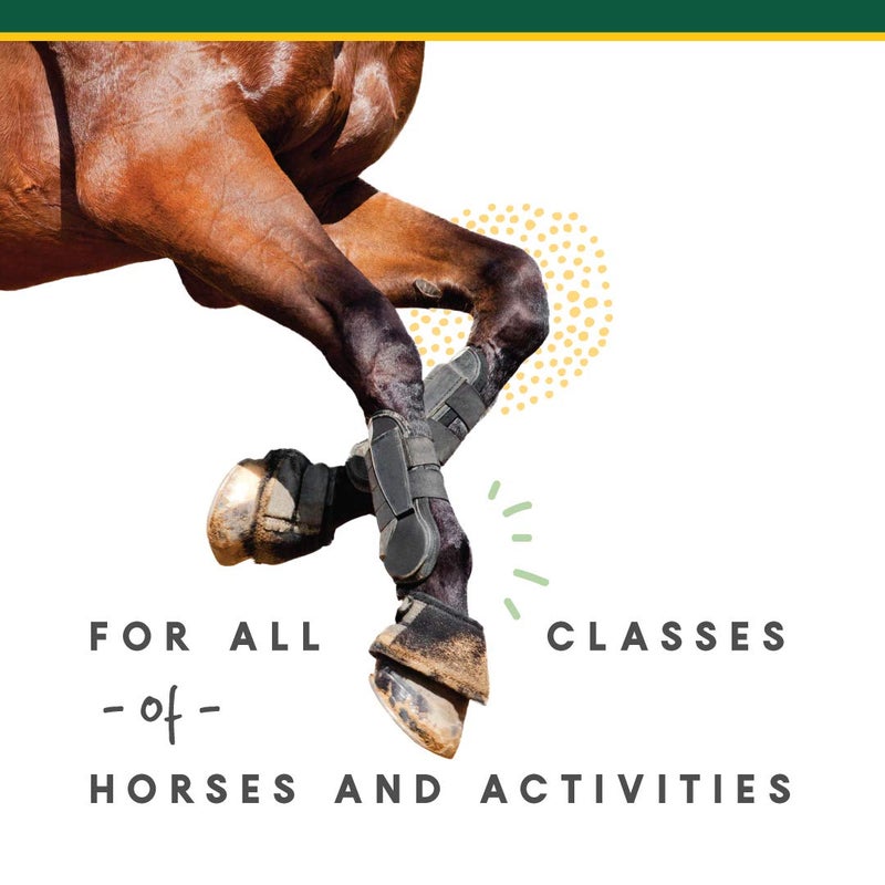 Manna Pro Corta-FLX Corta-Flex Equine Joint Supplement | Horse Supplement for Healthy Joints | Quick & Effective Nourishment to Joints formulated with Vitamins and Minerals | 12 LB Pellet - Image 4