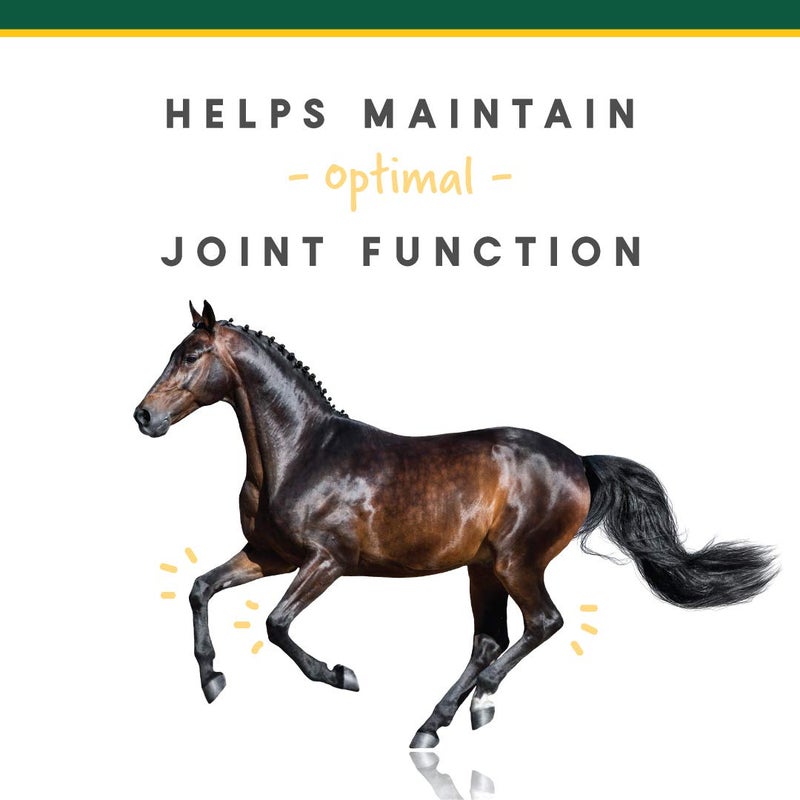 Manna Pro Corta-FLX Corta-Flex Equine Joint Supplement | Horse Supplement for Healthy Joints | Quick & Effective Nourishment to Joints formulated with Vitamins and Minerals | 12 LB Pellet - Image 2