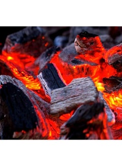GO2CAMPS GO2CAMPS Premium BBQ Hardwood Charcoal | Natural Barbeque Wooden Charcoal Medium Sizes -9 kg  - Image 3