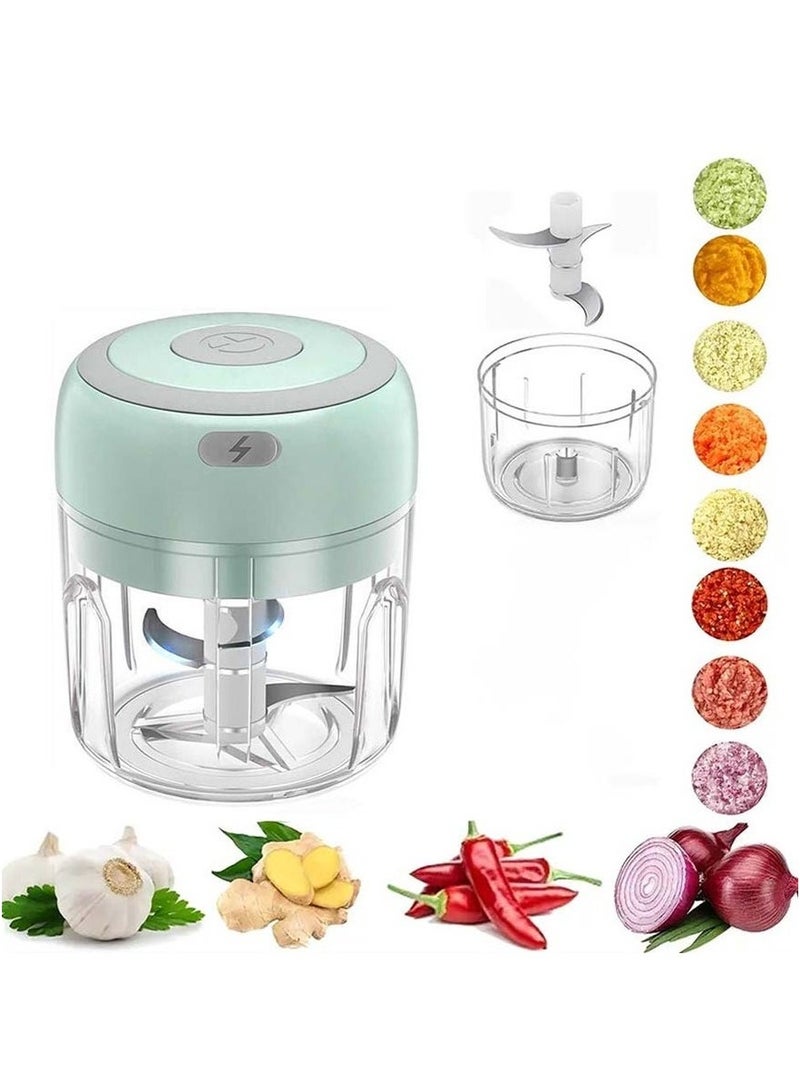 مفرمة ثوم كهربائية صغيرة، محضر طعام، مفرمة ثوم لاسلكية محمولة، مفرمة لحم مع شحن USB للخضروات والفلفل الحار والفواكه والزنجبيل وأطعمة الأطفال والتوابل 250 مل (أخضر) - Image 1