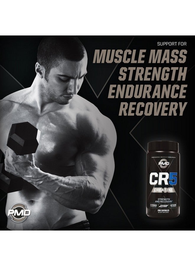 PMD PMD CR5 Creatine  - Image 3