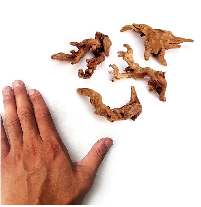 YZHZOM Small Natural Driftwood for Aquarium Styling Carefully Selected Natural Aquarium Decor Driftwood for Reptile Tank Reptile Tank Wood Decor (Driftwood 4-6inch 4pcs) - Image 4