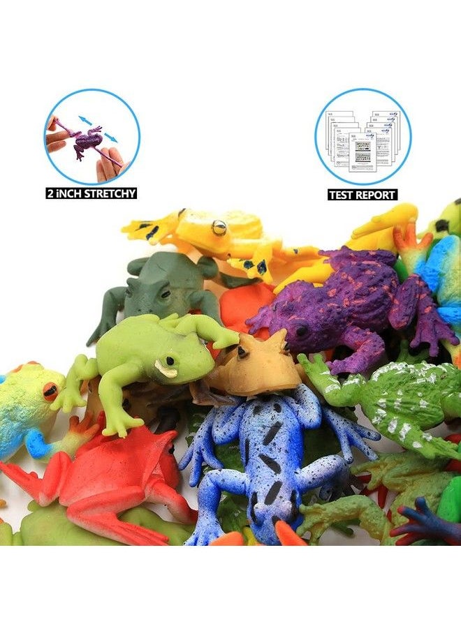ValeforToy - Frog Toys 12 Pack Mini Rubber Frog Sets Super Stretches Material Tpr With Gift Bag Realistic Frog Figure Toys For Boy - Image 1