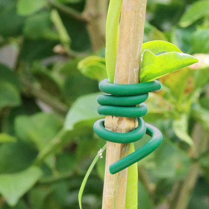 Delfino Garden Plant Wire Tie, Plant Tie, Tie Soft Twist Plant Ties - Green Support Plant Vines, Stems & Stalks, Support Tomato Branches Vines and Tying Up Cable Wires (Green) - Image 3