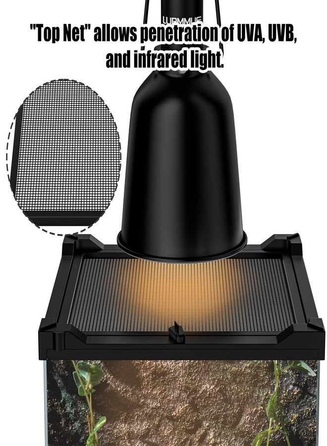 LURMMUE Reptile Terrarium 8"x8"x12" Mini, Front-Opening Glass Tank with Mesh Lid & Lock, 360° Glass Enclosure for Small Reptiles, Frogs, Tarantulas, Jumping Spiders & Geckos - Image 4