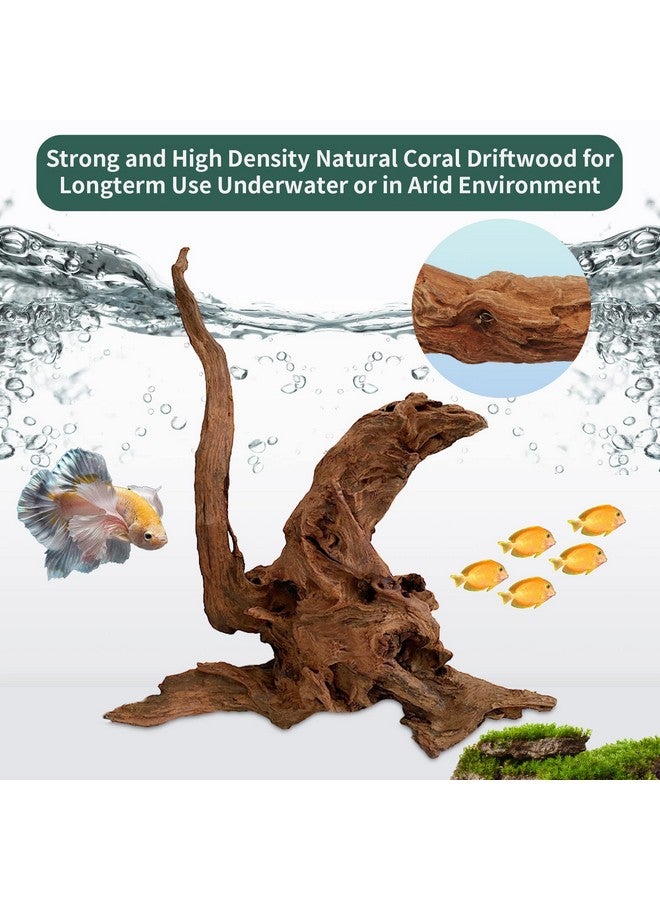 Hamiledyi 5 Pcs Driftwood Branches Aquarium Wood Decoration Natural Fish Tank Habitat Decor Wood For Lizard Assorted SizeSmall - Image 4
