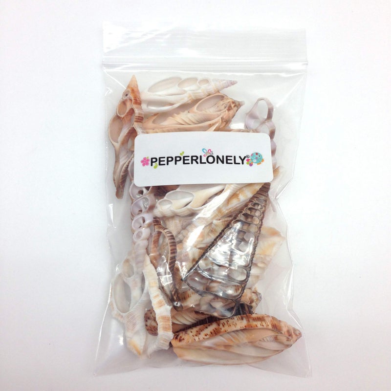 PEPPERLONELY 20PC Center Cut Assorted Mixed Sea Shells, 2 Inch ~ 3 Inch - Image 2