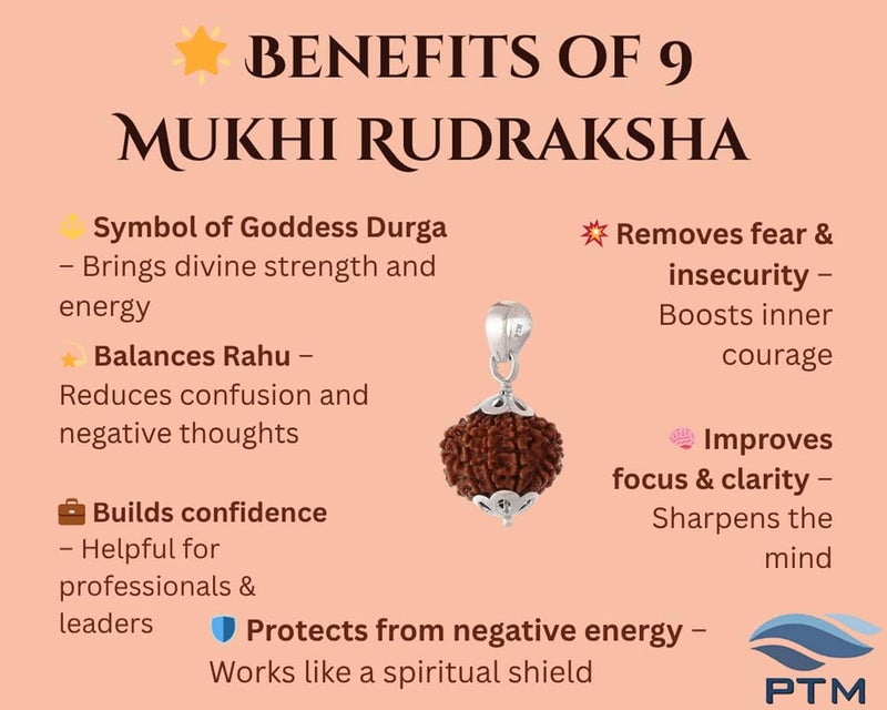 PTM رودراکشا نيبالي أصلي معتمد 1/2/3/4/5/6/7/8/9/10/11/غانش/غوريشانكار موكي، قلادة فضة استرلينية 925 مع علامة BIS للرجال والنساء - Image 4